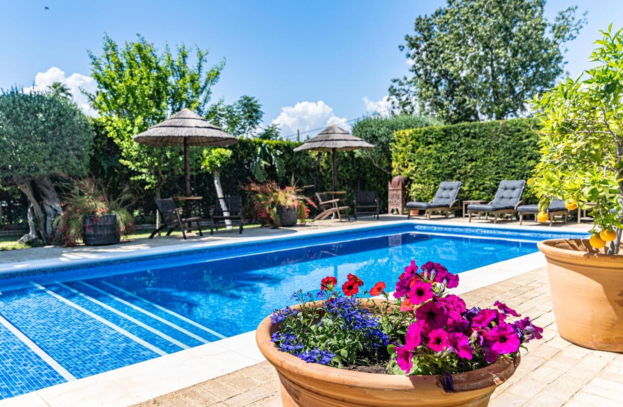 B&B Casa Adelante Sevilla Espartinas Ngoại thất bức ảnh